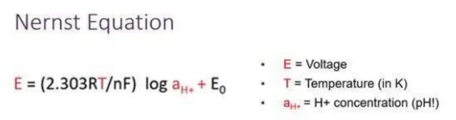 Seven Tips for Choosing pH Electrodes