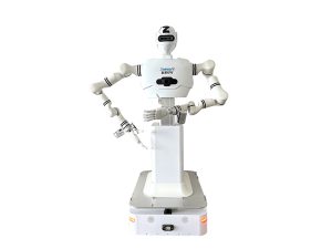 Empowering the Future with Embodied AI Robotics